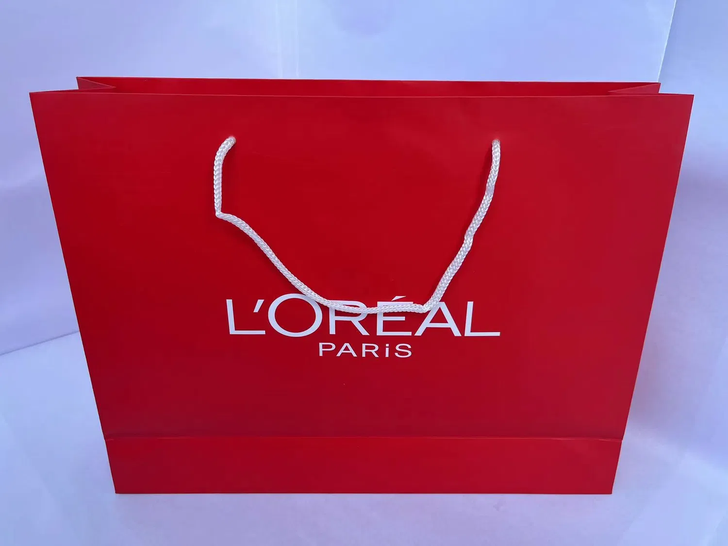 Printed FSC White Art Coated Paper Packaging Luxury Shopping Gift Bag