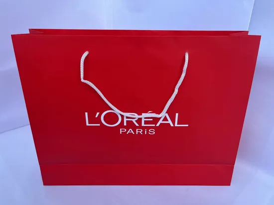 Printed FSC White Art Coated Paper Packaging Luxury Shopping Gift Bag