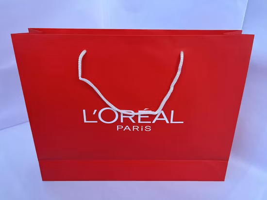 Printed FSC White Art Coated Paper Packaging Luxury Shopping Gift Bag